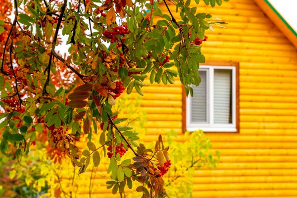 Garden Window Replacement in Huntsville